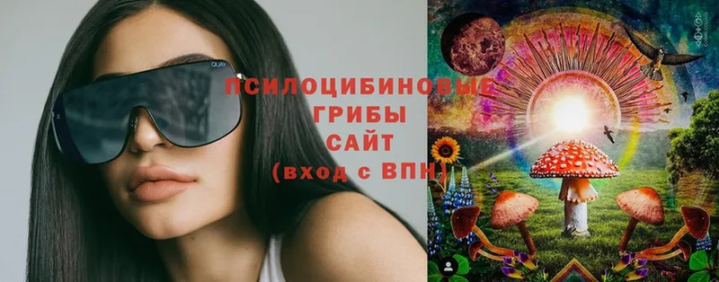 Галлюциногенные грибы Magic Shrooms  Тольятти 